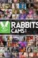 Rabbits Cams